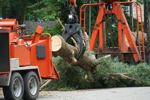 Lawn Watering Services in Bell Acres, PA